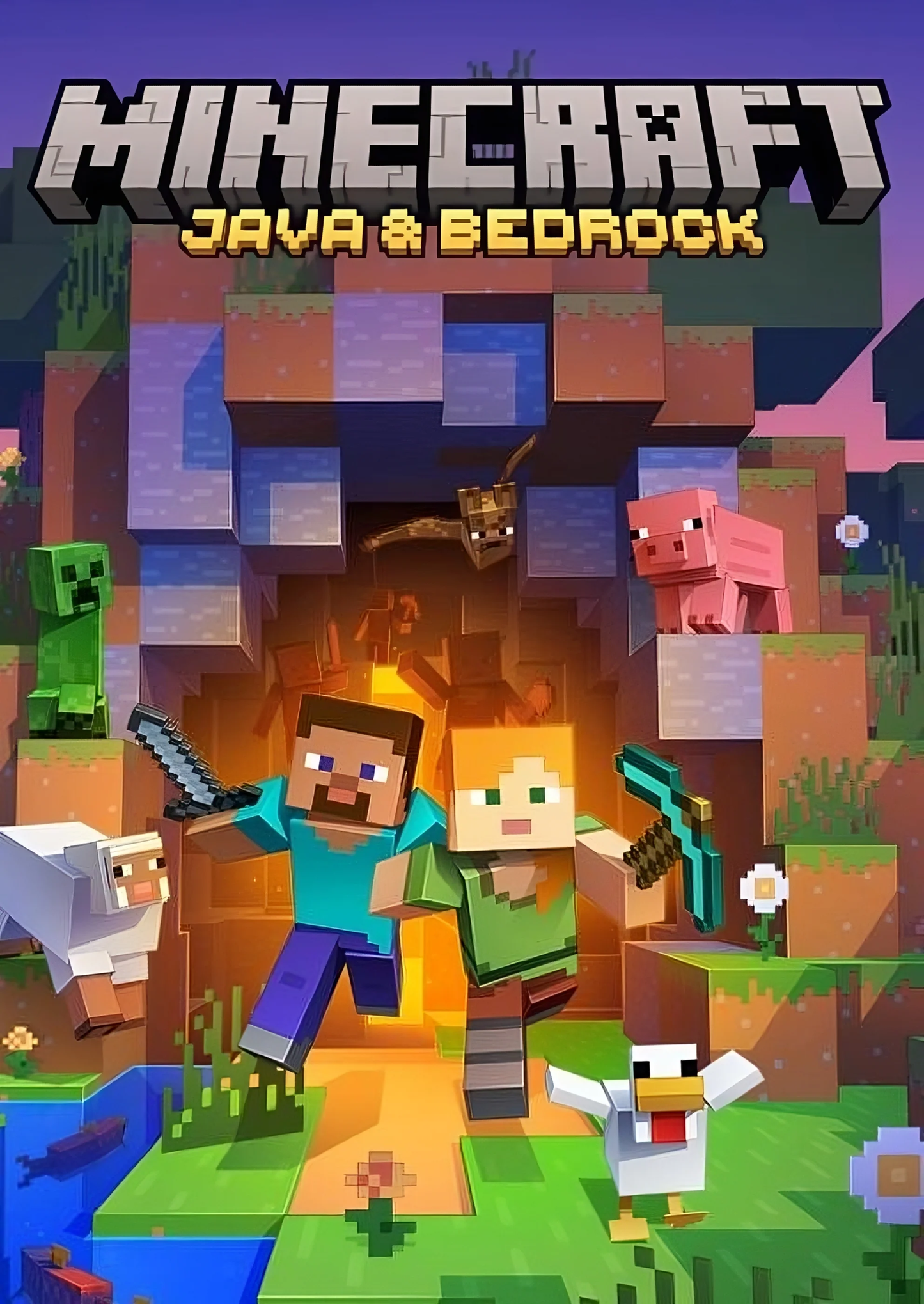 Minecraft Java ir Bedrock edition